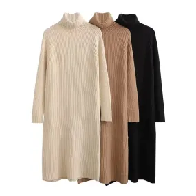 Cozy Ribbed Knit Turtleneck Dress